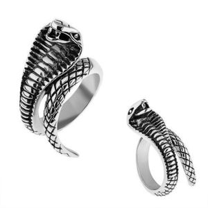 Inel argintiu din oţel, o cobra patinată, proeminentă - Marime inel: 57 imagine