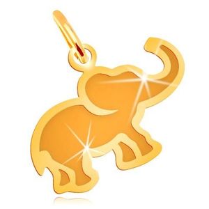Pandantiv din aur galben de 14K - elefant mic, plat cu centru mat imagine