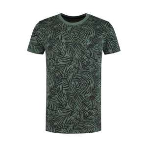 Shiwi Shirt 'Tee Mangrove' verde deschis imagine