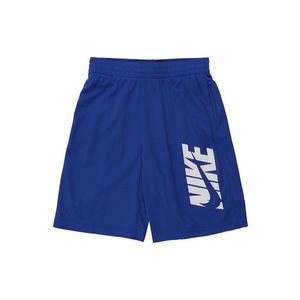 Nike Sportswear Pantaloni albastru royal / alb imagine