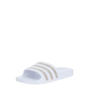ADIDAS SPORTSWEAR Flip-flops argintiu / alb imagine