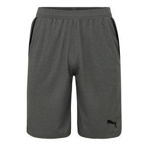 PUMA Pantaloni sport 'RTG Interlock Shorts 10`' gri imagine