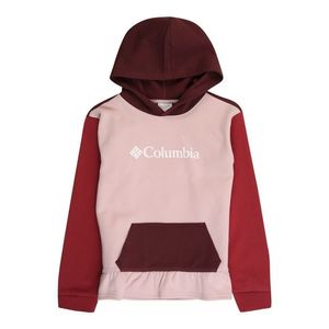 COLUMBIA Sportsweatshirt roșu / roz pastel / sângeriu imagine