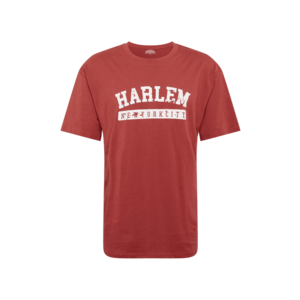 SOUTHPOLE Tricou 'Harlem' roșu imagine