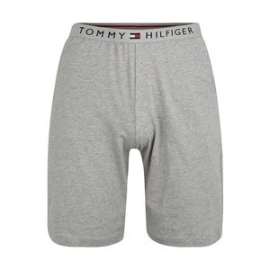 Tommy Hilfiger Underwear Pantaloni de pijama bleumarin / gri amestecat / roșu / alb imagine
