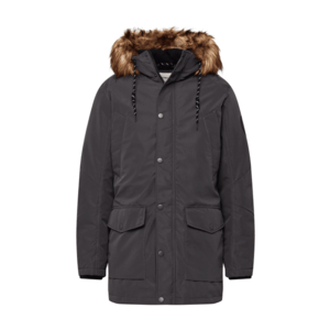 JACK & JONES Parka de iarnă 'JJSKY' gri metalic imagine