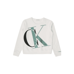 Calvin Klein Jeans Bluză de molton 'EXPLODED MONOGRAM BXY SWEATSHIRT' alb / negru / verde imagine