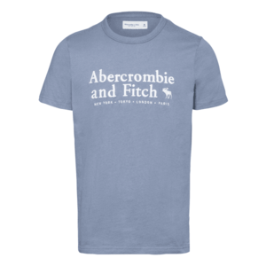Abercrombie & Fitch Tricou 'ELEVATED' albastru fum / alb imagine