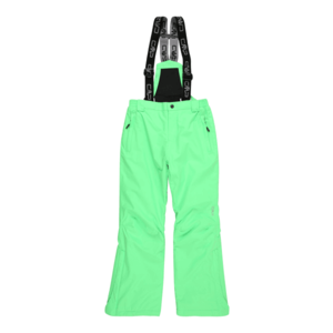 CMP Pantaloni outdoor verde deschis / negru imagine
