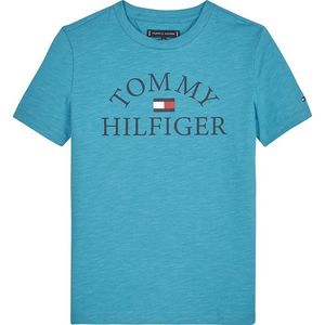 TOMMY HILFIGER Tricou turcoaz / albastru închis / alb / roșu imagine