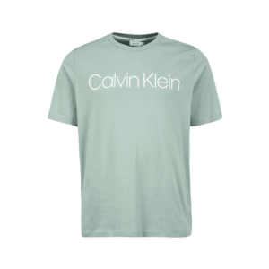Calvin Klein Tricou verde pastel / alb imagine