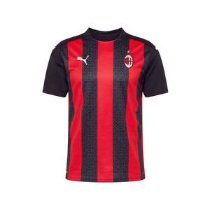 PUMA Tricot 'AC Milan' gri deschis / alb / roșu / negru imagine