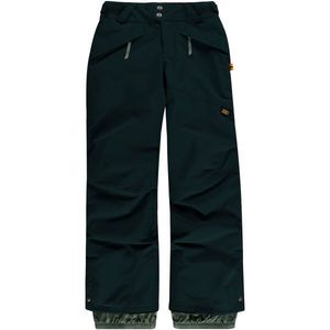 O'Neill PB ANVIL PANTS Pantaloni de schi/snowboard băieți, verde închis, mărime 140 imagine