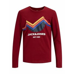 Jack & Jones Junior Tricou 'DANIELSON' roșu / culori mixte imagine