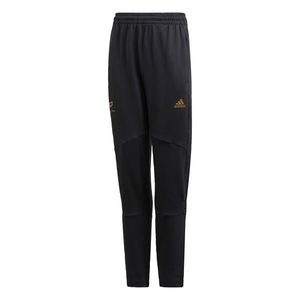 ADIDAS PERFORMANCE Pantaloni sport negru / galben auriu imagine