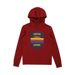 Jack & Jones Junior Bluză de molton 'ADISONS' roșu / culori mixte imagine