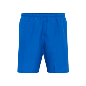 NIKE Pantaloni sport 'Challenger Run Division' albastru imagine