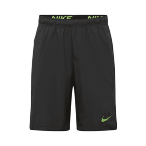 NIKE Pantaloni sport 'Flex' negru / verde deschis imagine