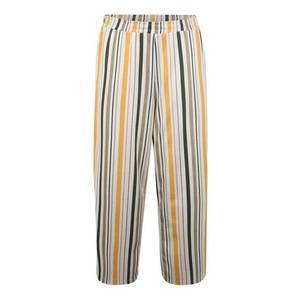Junarose Pantaloni 'MAGALI' galben / bej / negru imagine