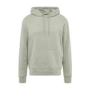 HOLLISTER Pulover 'MUST HAVE' verde pastel / alb imagine