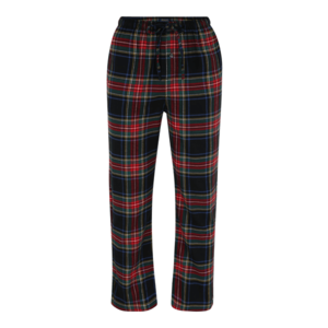 POLO RALPH LAUREN Pantaloni de pijama albastru închis / roșu / verde închis / gri imagine