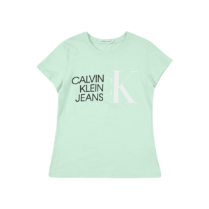 Calvin Klein Jeans Tricou mentă / negru / alb imagine