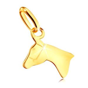 Pandantiv din aur galben 375 - contur lucios al capului de cal imagine