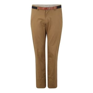SELECTED HOMME Pantaloni eleganți 'YARD' maro imagine