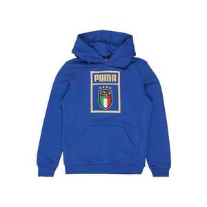 PUMA Bluză de molton 'FIGC PUMA DNA Hoody Jr' albastru imagine