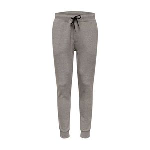 Polo Ralph Lauren Pantaloni 'JOGGERPANTM2-PANT' gri deschis imagine