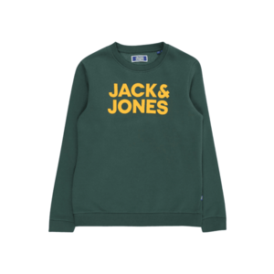 Jack & Jones Junior Bluză de molton 'JORGORDON' verde închis / galben imagine