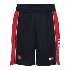 Tommy Sport Pantaloni sport 'ICONIC' roșu / navy / alb imagine