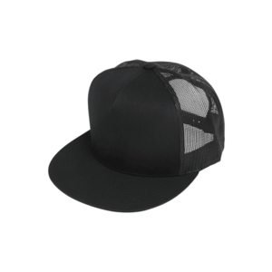 Flexfit Șapcă 'Classic' negru imagine