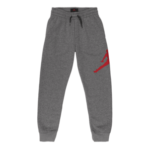 Jordan Pantaloni gri / roșu imagine