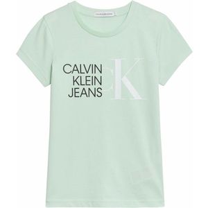 Calvin Klein Jeans Tricou verde mentă / negru / alb imagine