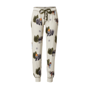 PJ Salvage Pantaloni de pijama gri deschis / culori mixte imagine