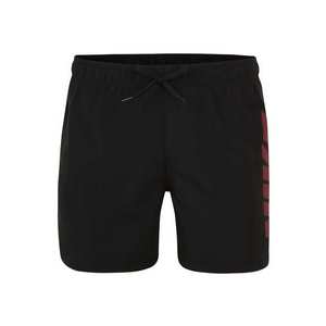 Nike Swim Pantaloni de baie 'RIFT BREAKER 5' gri / negru imagine