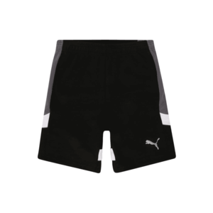 PUMA Pantaloni 'Active Sports' negru / gri / alb imagine