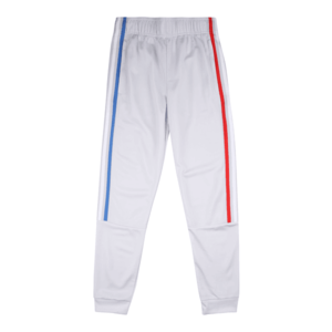 ADIDAS ORIGINALS Pantaloni gri deschis / roșu / albastru / alb imagine