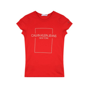 Calvin Klein Jeans Tricou roșu / gri deschis / negru imagine
