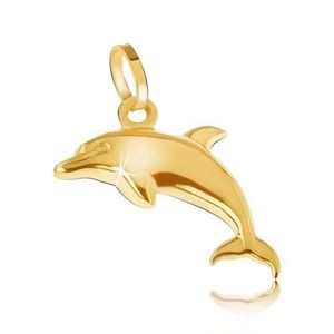 Pandantiv din aur galben 14K - delfin sărind tridimensional lucios imagine
