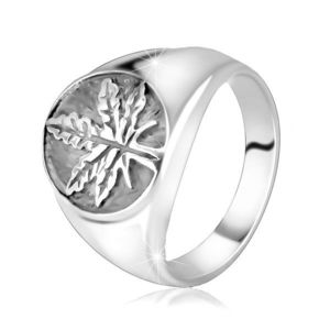 Inel robust din argint 925 - frunză de canabis într-un inel cu patină - Marime inel: 49 imagine