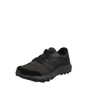 SALOMON Sneaker de alergat 'Trailster 2 GTX' negru / gri taupe imagine