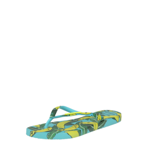 HAVAIANAS Flip-flops 'SUMMER' albastru aqua / galben / verde imagine