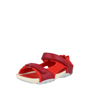 CAMPER Sandale 'Ous' rubiniu / roșu imagine