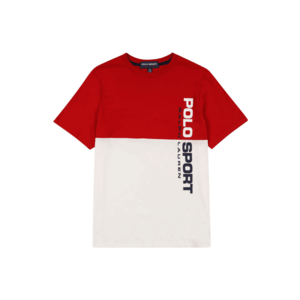 Polo Ralph Lauren T-Shirt alb / roșu / albastru închis imagine
