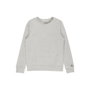 Calvin Klein Jeans Bluză de molton gri deschis / gri închis imagine