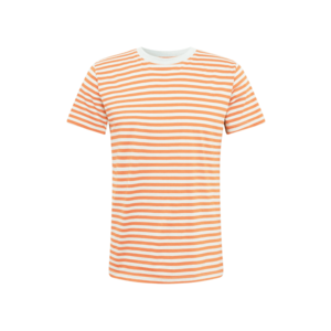 DEDICATED. Tricou 'Stockholm Stripes' portocaliu / alb imagine