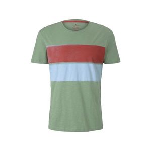 TOM TAILOR Tricou albastru fumuriu / roșu pastel / verde pastel imagine