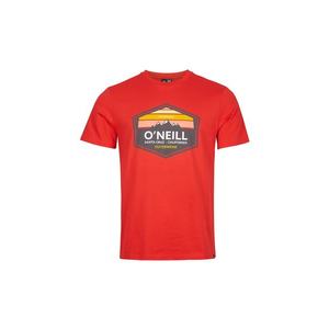 O'NEILL Tricou 'Mountain Trademark' roșu / mai multe culori imagine